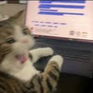 صورة الملف الشخصي لـ Ahmed Desouki Mohammed Desouki