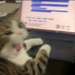 صورة الملف الشخصي لـ Ahmed Desouki Mohammed Desouki