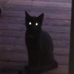 صورة الملف الشخصي لـ zakaria h4xor