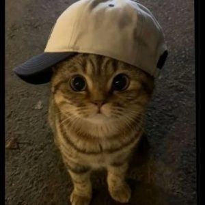 صورة الملف الشخصي لـ ABDULLAH MUHAMMAD