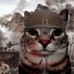 صورة الملف الشخصي لـ sallam