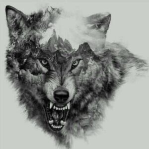 صورة الملف الشخصي لـ Ahmed Selem