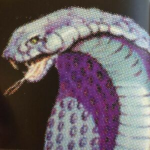 صورة الملف الشخصي لـ Reeof alharbi