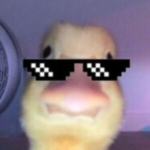 صورة الملف الشخصي لـ Mariam Nasim