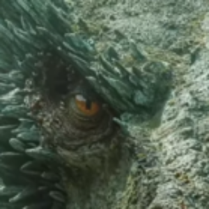 صورة الملف الشخصي لـ mohammed murtadha