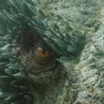 صورة الملف الشخصي لـ mohammed murtadha