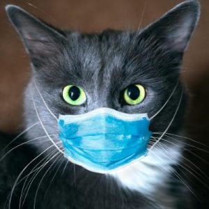 صورة الملف الشخصي لـ Abdullah Alhamli