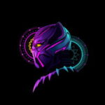 صورة الملف الشخصي لـ Ahmed Shalaby