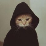 صورة الملف الشخصي لـ Ismael Ahmed Saleh