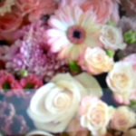 صورة الملف الشخصي لـ منيه القطراني