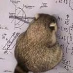 صورة الملف الشخصي لـ nawaf alfaifi