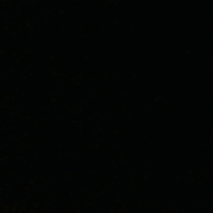 صورة الملف الشخصي لـ Layal Ahmed