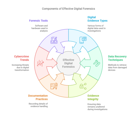 DFIR - visual selection (1)